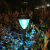 Solumi™ - Outdoor Solar Pathway Lights Decorations