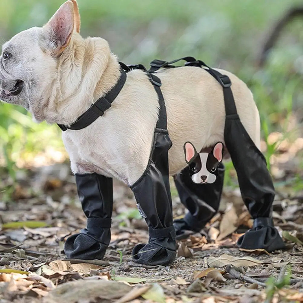 Pawpill™ - Adjustable Connected Dog Boots