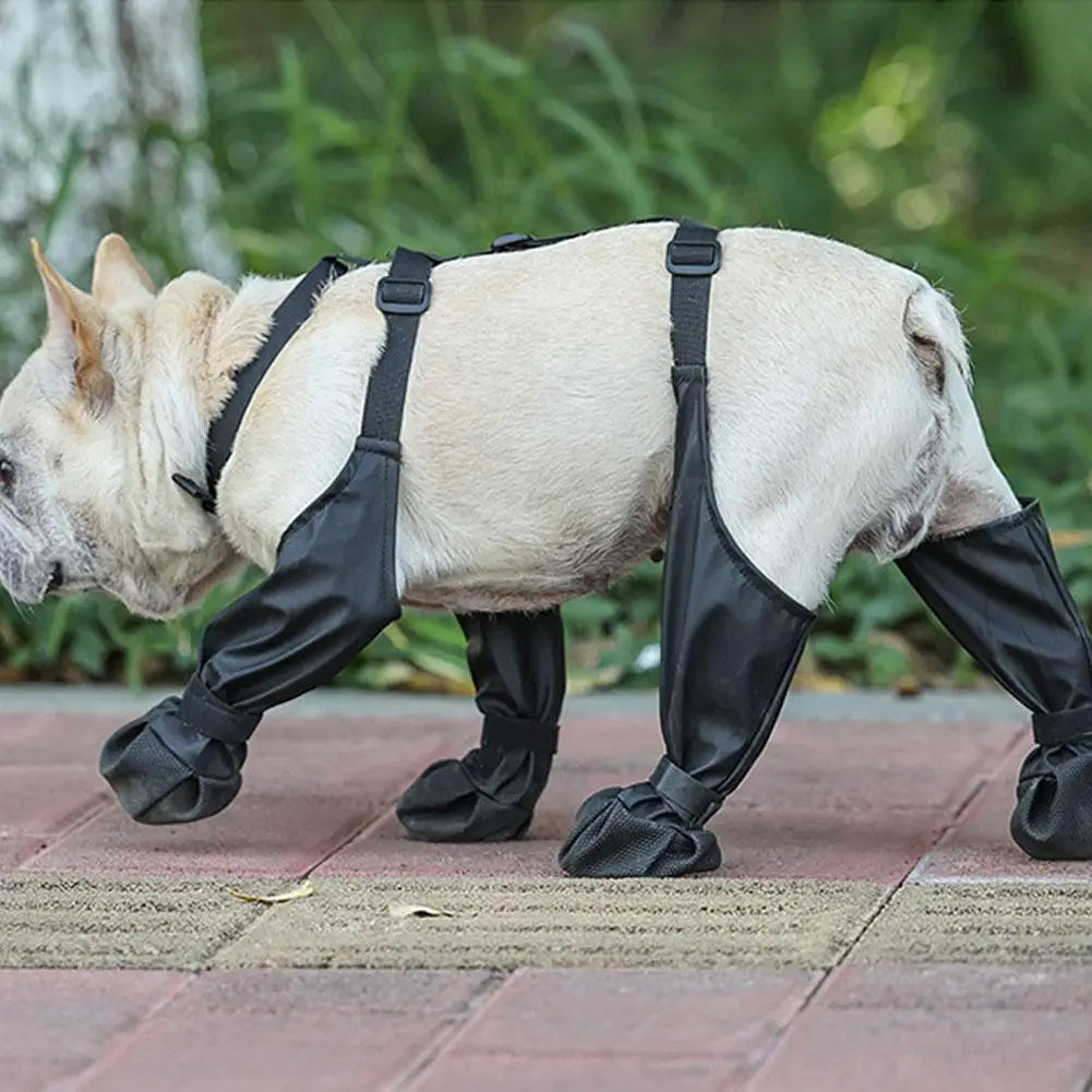 Pawpill™ - Adjustable Connected Dog Boots