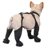 Pawpill™ - Adjustable Connected Dog Boots