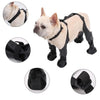 Pawpill™ - Adjustable Connected Dog Boots