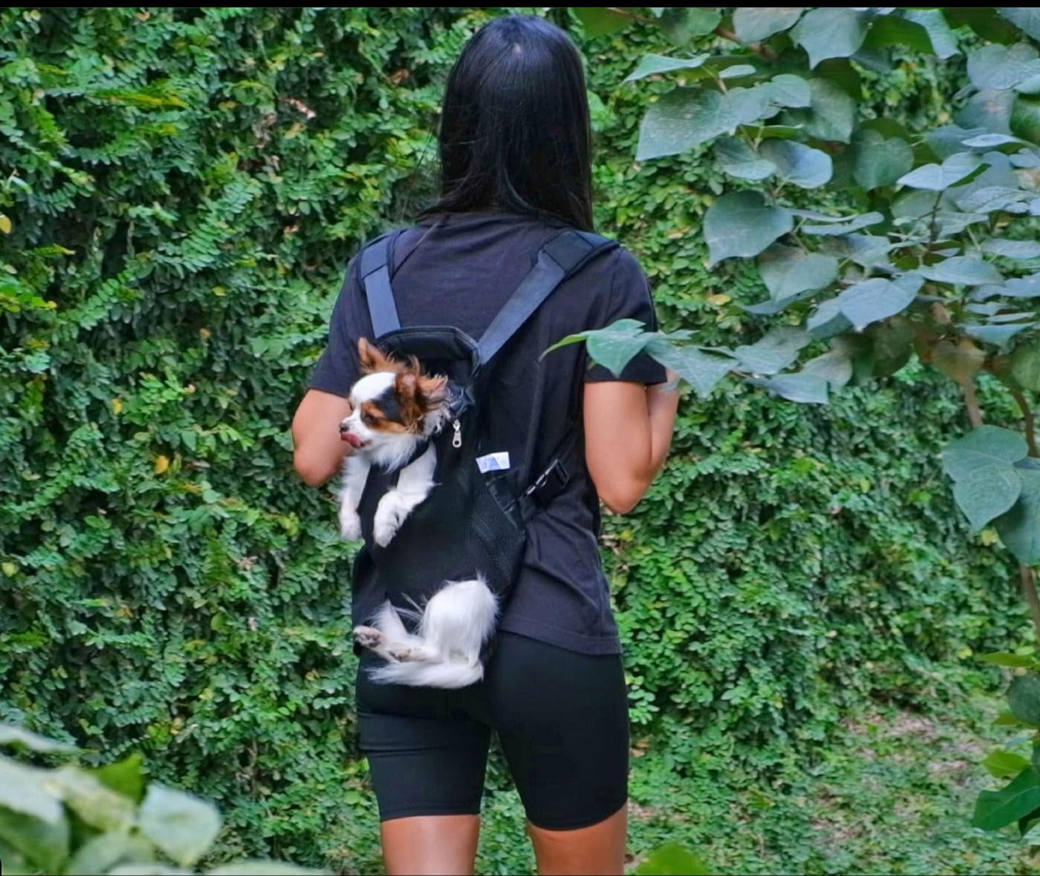 ZooBag™ - Pet Carriers Bag