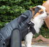 ZooBag™ - Pet Carriers Bag